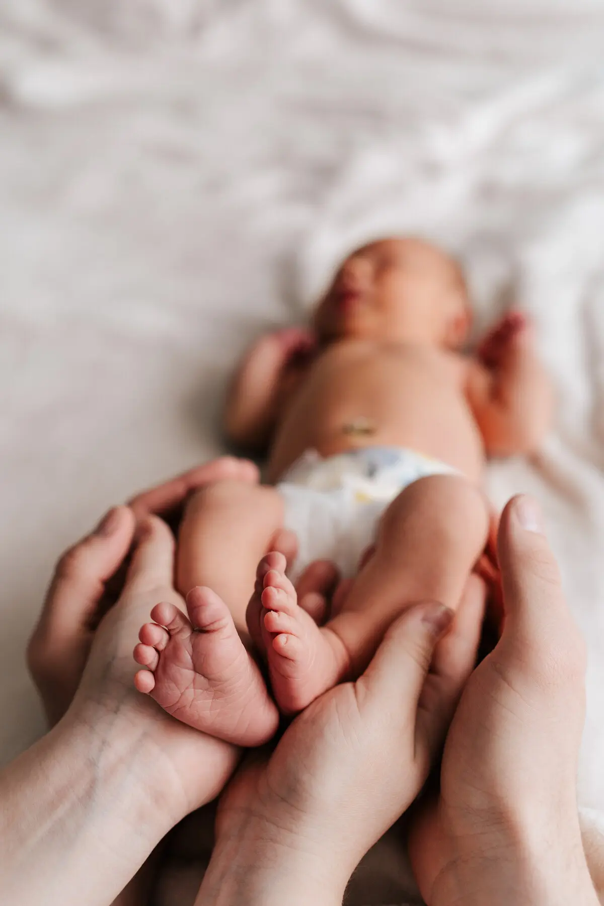 Sesje Noworodkowe 15