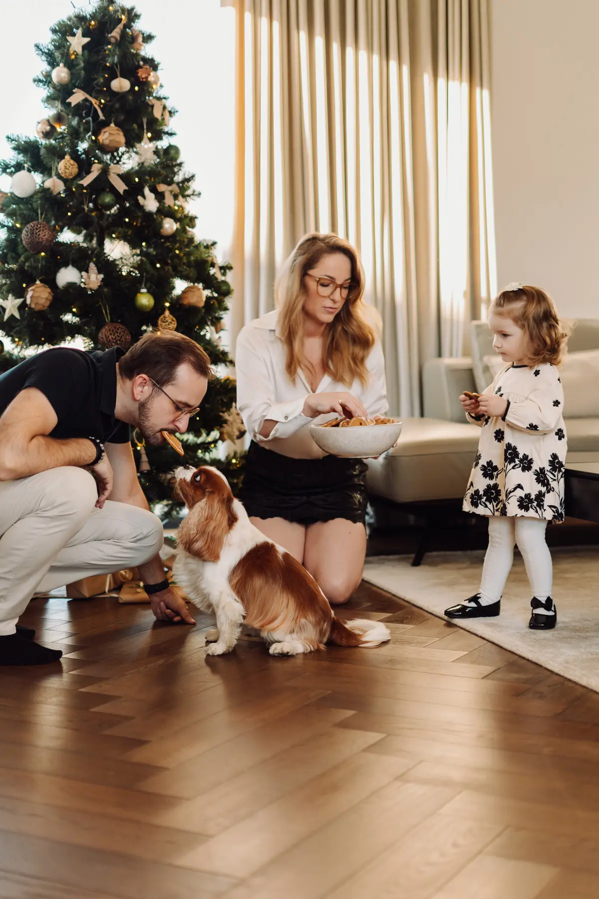 Sesje Świąteczne 3